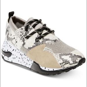 Steve Madden Sneakers